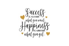 Success Is Getting What You Want. Happiness Is Wanting What  Product Image 1