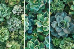 Succulent Digital Paper Bundle Product Image 5