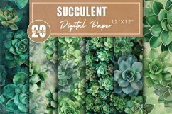 Succulent Digital Paper Bundle Product Image 1