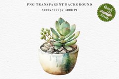 Succulent Flower Pot Floral Wreath Clipart PNG Scrapbooking Nursery Watercolor Transparent wedding invitation shirt designs sublimation printable digital bloom watercolor Succulent, flowers pot clipart, floral sublimation nursery, spring, wedding invitati