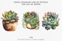 watercolor Succulent, flowers pot clipart, floral sublimation nursery, spring, wedding invitation Succulent Pot Floral Wreath Clipart PNG Scrapbooking Nursery Watercolor Transparent wedding invitation shirt designs sublimation printable digital bloom