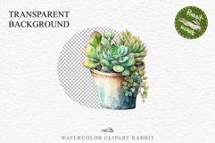 Succulent Flower Pot Floral Wreath Clipart PNG Scrapbooking Nursery Watercolor Transparent wedding invitation shirt designs sublimation printable digital bloom watercolor Succulent, flowers pot clipart, floral sublimation nursery, spring, wedding invitati