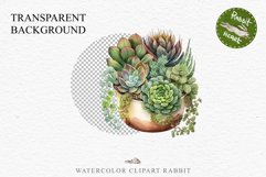 Succulent Flower Pot Floral Wreath Clipart PNG Scrapbooking Nursery Watercolor Transparent wedding invitation shirt designs sublimation printable digital bloom watercolor Succulent, flowers pot clipart, floral sublimation nursery, spring, wedding invitati