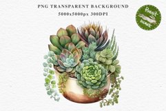 Succulent Flower Pot Floral Wreath Clipart PNG Scrapbooking Nursery Watercolor Transparent wedding invitation shirt designs sublimation printable digital bloom watercolor Succulent, flowers pot clipart, floral sublimation nursery, spring, wedding invitati