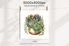 Succulent Flower Pot Floral Wreath Clipart PNG Scrapbooking Nursery Watercolor Transparent wedding invitation shirt designs sublimation printable digital bloom watercolor Succulent, flowers pot clipart, floral sublimation nursery, spring, wedding invitati