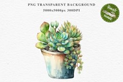 Succulent Flower Pot Floral Wreath Clipart PNG Scrapbooking Nursery Watercolor Transparent wedding invitation shirt designs sublimation printable digital bloom watercolor Succulent, flowers pot clipart, floral sublimation nursery, spring, wedding invitati