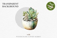 Succulent Flower Pot Floral Wreath Clipart PNG Scrapbooking Nursery Watercolor Transparent wedding invitation shirt designs sublimation printable digital bloom watercolor Succulent, flowers pot clipart, floral sublimation nursery, spring, wedding invitati