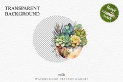 Succulent Flower Pot Floral Wreath Clipart PNG Scrapbooking Nursery Watercolor Transparent wedding invitation shirt designs sublimation printable digital bloom watercolor Succulent, flowers pot clipart, floral sublimation nursery, spring, wedding invitati