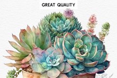 watercolor Succulent, flowers pot clipart, floral sublimation nursery, spring, wedding invitation Succulent Pot Floral Wreath Clipart PNG Scrapbooking Nursery Watercolor Transparent wedding invitation shirt designs sublimation printable digital bloom