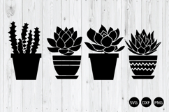 Succulent House Plant SVG, Succulent SVG, Potted Plant SVG Product Image 1