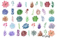 Watercolor succulents clipart. Frames, wreaths, bouquets Product Image 13