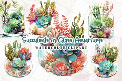 Succulents In Glass Aquariums Watercolor Sublimation Clipart Product Image 1