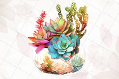 Succulents In Glass Aquariums Watercolor Sublimation Clipart Product Image 3