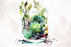 Succulents In Glass Aquariums Watercolor Sublimation Clipart Product Image 2