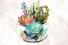 Succulents In Glass Aquariums Watercolor Sublimation Clipart Product Image 6