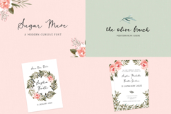 Whimsical Script Font Mini Bundle Product Image 5