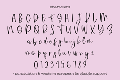 Sugar Plum Fairy Script Font Product Image 10