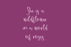 Sugar Plum Fairy Script Font Product Image 2