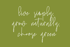 Sugar Puff - Modern Handwritten Script Font Product Image 11