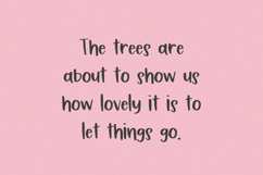 Sugar Pumpkin Sans Font Product Image 3