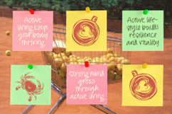 Sugarhare - Playful Marker Script Product Image 10