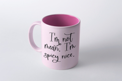 Sugarstar Script Font Product Image 8