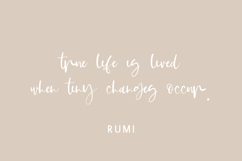 Suggestible Script Font Product Image 3