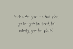 Suggestible Script Font Product Image 7