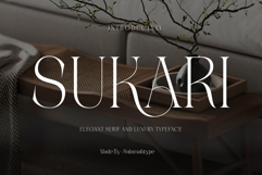 Sukari Modern Serif Font Product Image 1