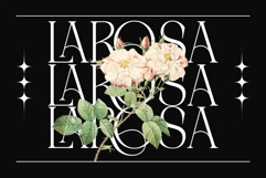 Sukari Modern Serif Font Product Image 4