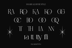 Sukari Modern Serif Font Product Image 8
