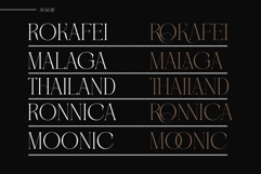 Sukari Modern Serif Font Product Image 9