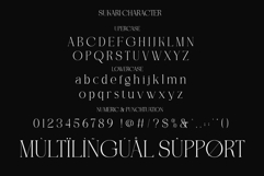 Sukari Modern Serif Font Product Image 10
