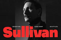 Sullivan | 91 Style Font Product Image 16