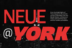 Sullivan | 91 Style Font Product Image 6