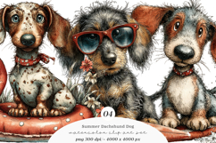 Summer Dachshund Dog Png Clipart Product Image 1