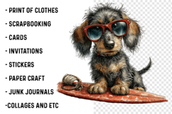 Summer Dachshund Dog Png Clipart Product Image 2