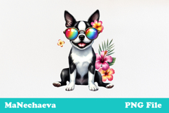 Summer Boston Terrier Clipart | Coquette Dog Sublimation Product Image 2
