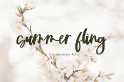 Summer Fling Script Font Product Image 1