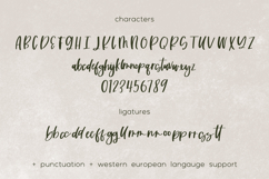 Summer Fling Script Font Product Image 10