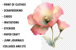 Summer Flowers Clipart PNG Product Image 2