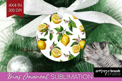 Summer Fruit Ornament PNG - Fruit PNG Sublimation Product Image 1