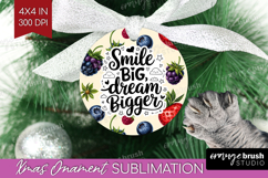 Inspirational Quote Ornament PNG - Summer Fruit PNG Product Image 1