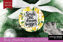 Inspirational Quote Ornament PNG - Summer Fruit PNG Product Image 1