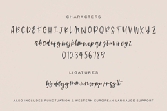 Summer Paradise Script Font Product Image 10