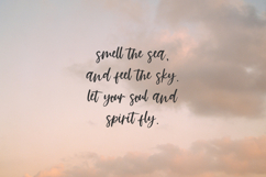 Summer Paradise Script Font Product Image 3