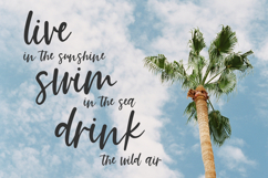 Summer Paradise Script Font Product Image 6