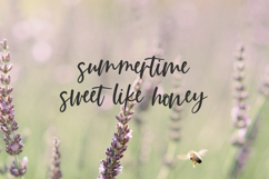 Summer Paradise Script Font Product Image 7