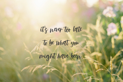 Summer Paradise Script Font Product Image 9