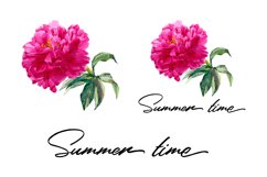 Peony watercolor - sublimation design Product Image 2